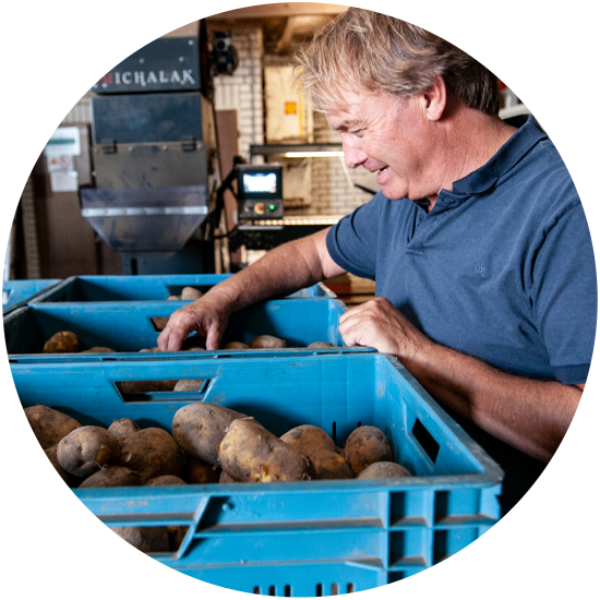 frietaardappelen bestellen