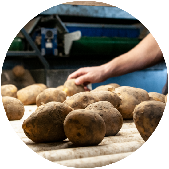 frietaardappelen kopen Almere