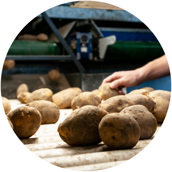 frietaardappelen kopen Lelystad