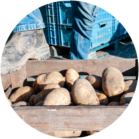 frietaardappelen voor cateringbedrijven